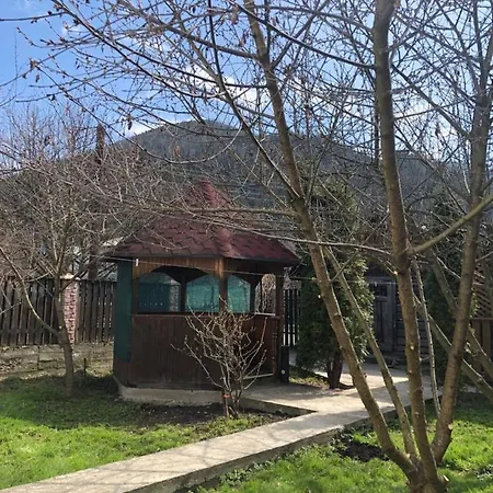 диво квітка * Tatariv