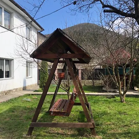 Apartment диво квітка