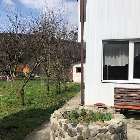 диво квітка Apartment *
