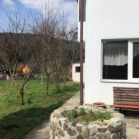 диво квітка Apartamento *