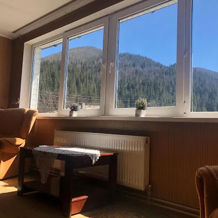 диво квітка Apartment