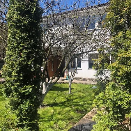 диво квітка