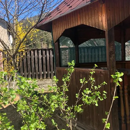 диво квітка Apartament