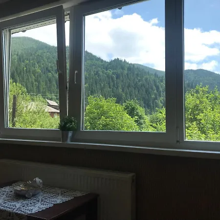 Apartment диво квітка