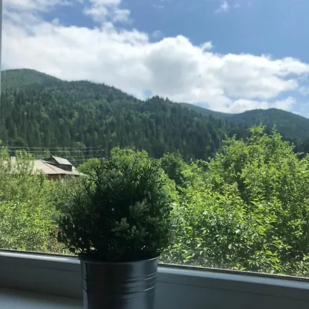 диво квітка