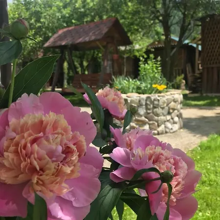 диво квітка