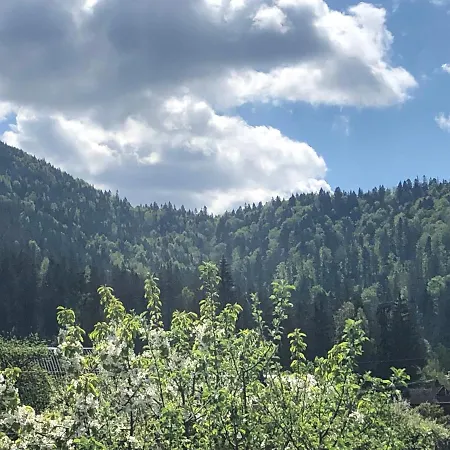 Διαμέρισμα диво квітка *