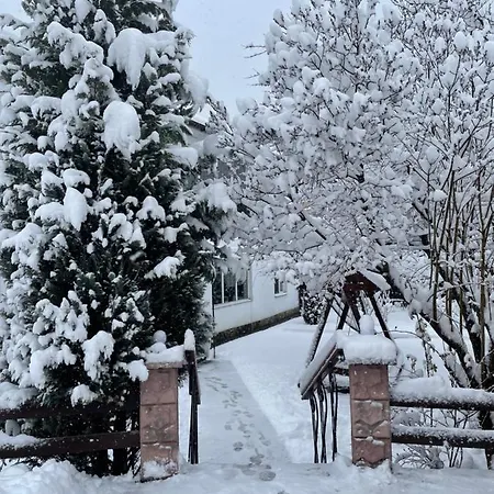 диво квітка Apartamento Tatariv