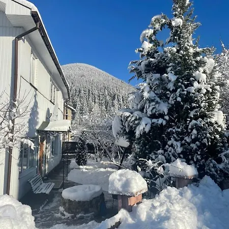 Apartamento диво квітка *