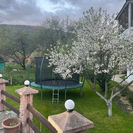 диво квітка Διαμέρισμα *