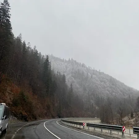 диво квітка