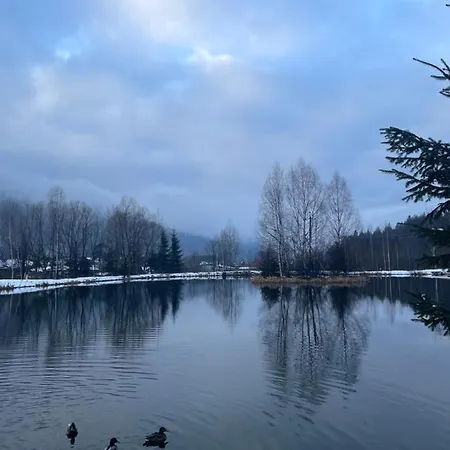 диво квітка Apartamento