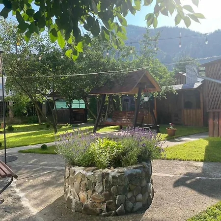 диво квітка Διαμέρισμα *