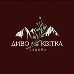 диво квітка Apartment Tatariv