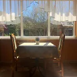 диво квітка Apartment