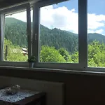 Apartment диво квітка