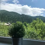диво квітка