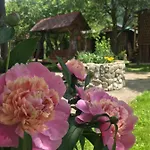 диво квітка