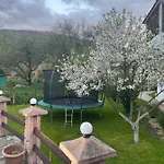 диво квітка Apartment *