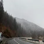 диво квітка