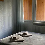 Apartment диво квітка
