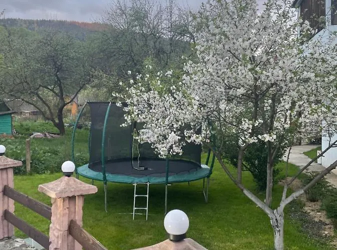 диво квітка Appartement *